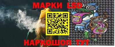 стаф Новодвинск