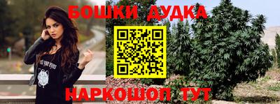 стаф Новодвинск
