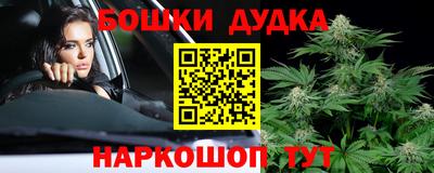 стаф Новодвинск